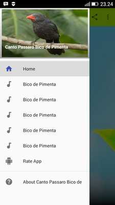 Emulate Android APK Canto Passaro Bico de Pimenta Emulate Android APK Canto Passaro Bico de Pimenta
