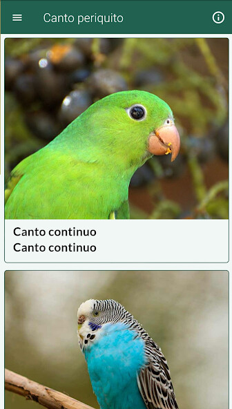 Run android online APK Canto periquito from MyAndroid or emulate Canto periquito using MyAndroid