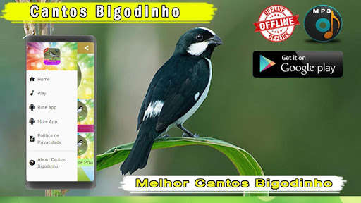Run android online APK Cantos Bigodinho from MyAndroid or emulate Cantos Bigodinho using MyAndroid Run android online APK Cantos Bigodinho from MyAndroid or emulate Cantos Bigodinho using MyAndroid