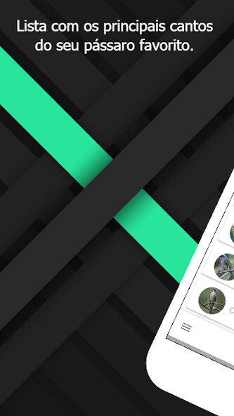 Run android online APK Cantos Canaries (SongsBirds) from MyAndroid or emulate Cantos Canaries (SongsBirds) using MyAndroid Run android online APK Cantos Canaries (SongsBirds) from MyAndroid or emulate Cantos Canaries (SongsBirds) using MyAndroid