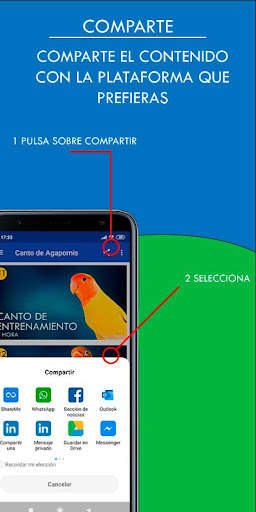 Run android online APK Cantos de Agapornis from MyAndroid or emulate Cantos de Agapornis using MyAndroid Run android online APK Cantos de Agapornis from MyAndroid or emulate Cantos de Agapornis using MyAndroid