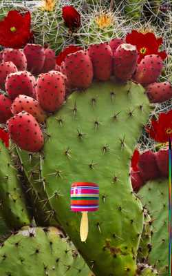 Emulate Android APK Capiruchos