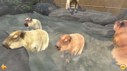 Emulate iPhone app Capybara Spa using MyAndroid Emulate iPhone app Capybara Spa using MyAndroid