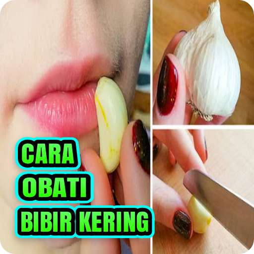 Run android online APK Cara Atasi Bibir Kering - Ampuh from MyAndroid or emulate Cara Atasi Bibir Kering - Ampuh using MyAndroid Run android online APK Cara Atasi Bibir Kering - Ampuh from MyAndroid or emulate Cara Atasi Bibir Kering - Ampuh using MyAndroid