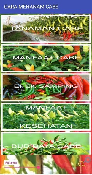 Run android online APK CARA MENANAM CABE from MyAndroid or emulate CARA MENANAM CABE using MyAndroid