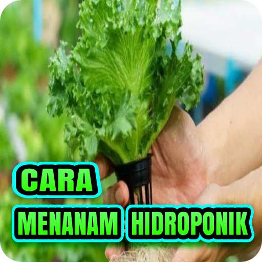 Run android online APK Cara Menanam Hidroponik Mudah from MyAndroid or emulate Cara Menanam Hidroponik Mudah using MyAndroid Run android online APK Cara Menanam Hidroponik Mudah from MyAndroid or emulate Cara Menanam Hidroponik Mudah using MyAndroid