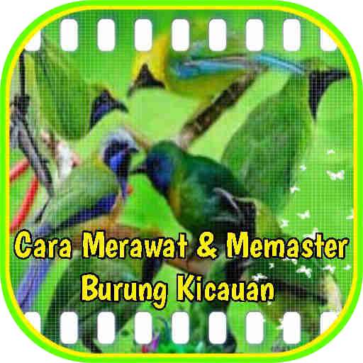 Run android online APK Cara Merawat Dan Memaster Burung Kicau from MyAndroid or emulate Cara Merawat Dan Memaster Burung Kicau using MyAndroid Run android online APK Cara Merawat Dan Memaster Burung Kicau from MyAndroid or emulate Cara Merawat Dan Memaster Burung Kicau using MyAndroid