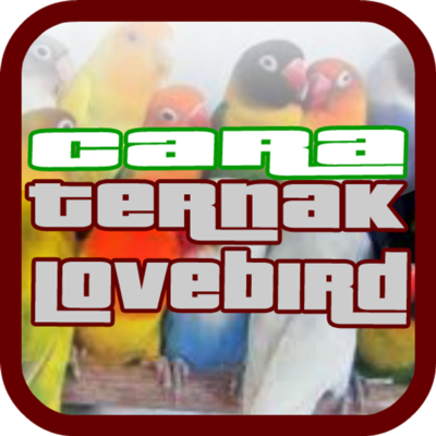 Emulate Android APK Cara Tepat Ternak Lovebird Emulate Android APK Cara Tepat Ternak Lovebird