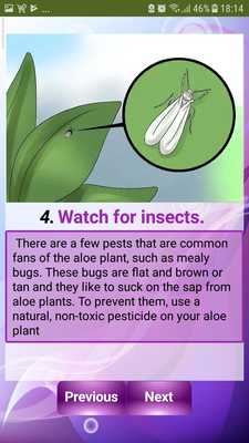 Emulate Android APK Care for Your Aloe Vera Plant Emulate Android APK Care for Your Aloe Vera Plant