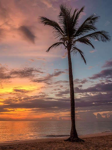 Run android online APK Caribbean Wallpaper Travel from MyAndroid or emulate Caribbean Wallpaper Travel using MyAndroid
