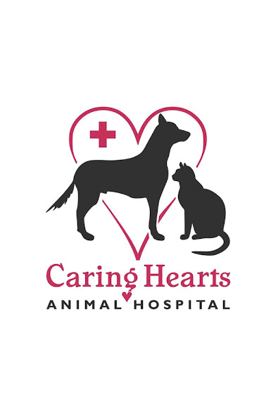 Run android online APK Caring Hearts Animal Hospital from MyAndroid or emulate Caring Hearts Animal Hospital using MyAndroid Run android online APK Caring Hearts Animal Hospital from MyAndroid or emulate Caring Hearts Animal Hospital using MyAndroid