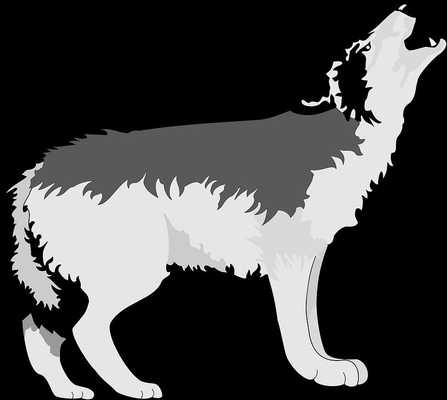 Emulate Android APK Carnivore Animals Emulate Android APK Carnivore Animals