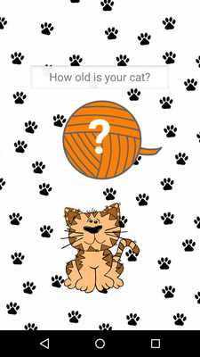 Emulate Android APK Cat Age Calculator