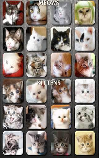 Run android online APK Cat and Kitten Sounds from MyAndroid or emulate Cat and Kitten Sounds using MyAndroid