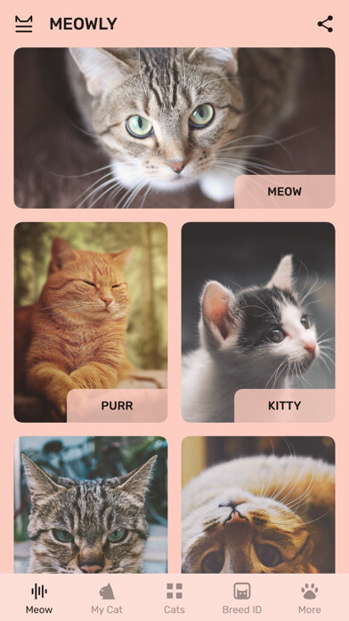 Emulate iPhone app Cat App - Meowly Cats using MyAndroid Emulate iPhone app Cat App - Meowly Cats using MyAndroid