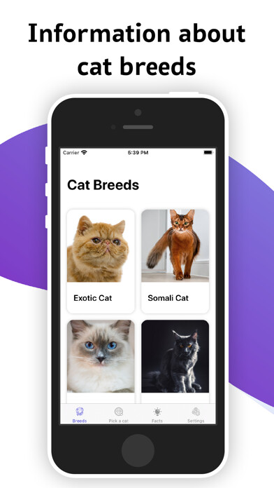 Emulate iPhone app Cat Breeds - Information Facts using MyAndroid