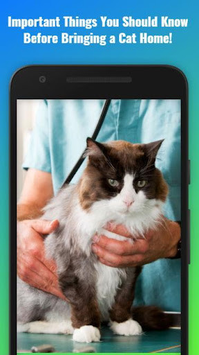 Run android online APK Cat Care Guide from MyAndroid or emulate Cat Care Guide using MyAndroid