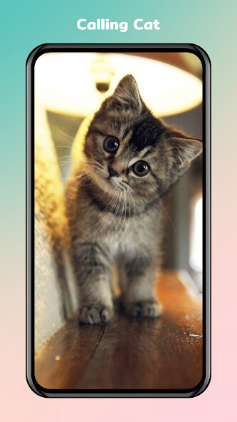 Run android online APK Cat Fake Video Call Prank Game from MyAndroid or emulate Cat Fake Video Call Prank Game using MyAndroid Run android online APK Cat Fake Video Call Prank Game from MyAndroid or emulate Cat Fake Video Call Prank Game using MyAndroid