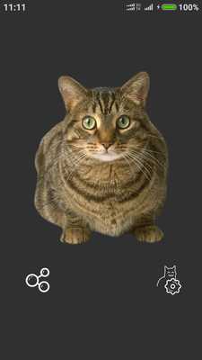 Emulate Android APK CatFlash