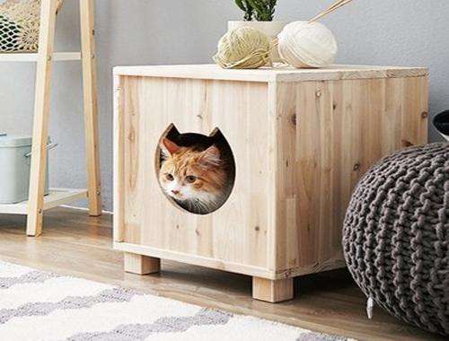 Emulate Android APK Cat House Design Ideas