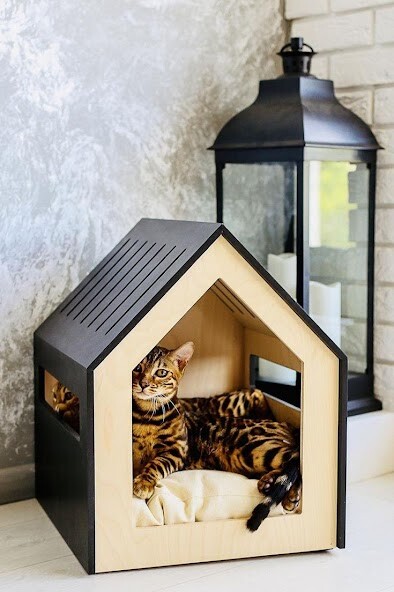 Run android online APK Cat House Ideas from MyAndroid or emulate Cat House Ideas using MyAndroid Run android online APK Cat House Ideas from MyAndroid or emulate Cat House Ideas using MyAndroid