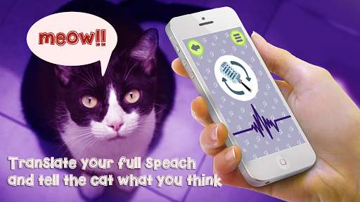 Run android online APK Cat Language Translator Simulator - Talk to Pet from MyAndroid or emulate Cat Language Translator Simulator - Talk to Pet using MyAndroid