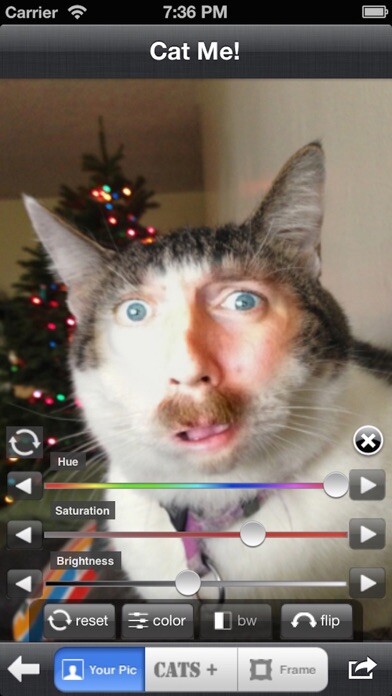 Run android online APK CATME from MyAndroid or emulate CATME using MyAndroid Run android online APK CATME from MyAndroid or emulate CATME using MyAndroid
