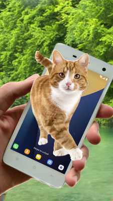 Emulate Android APK Cat On Screen Emulate Android APK Cat On Screen