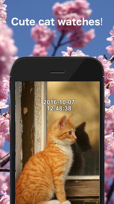 Emulate iPhone app CatPhotoClock using MyAndroid