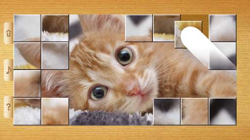 Run android online APK Cat Puzzles - Drag & Swap from MyAndroid or emulate Cat Puzzles - Drag & Swap using MyAndroid Run android online APK Cat Puzzles - Drag & Swap from MyAndroid or emulate Cat Puzzles - Drag & Swap using MyAndroid