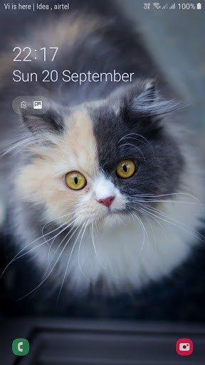 Run android online APK Cats and Kittens images Wallpapers - HD background from MyAndroid or emulate Cats and Kittens images Wallpapers - HD background using MyAndroid Run android online APK Cats and Kittens images Wallpapers - HD background from MyAndroid or emulate Cats and Kittens images Wallpapers - HD background using MyAndroid