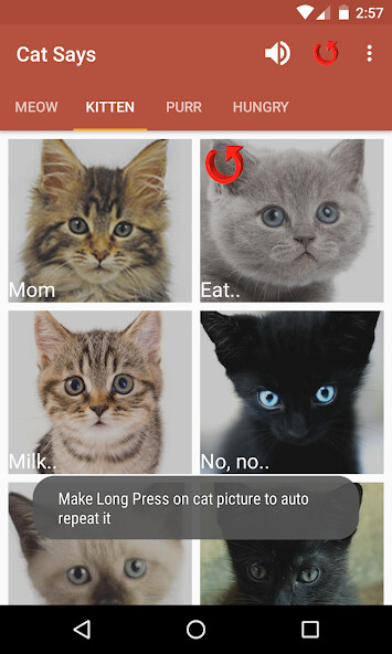 Run android online APK Cat Says from MyAndroid or emulate Cat Says using MyAndroid