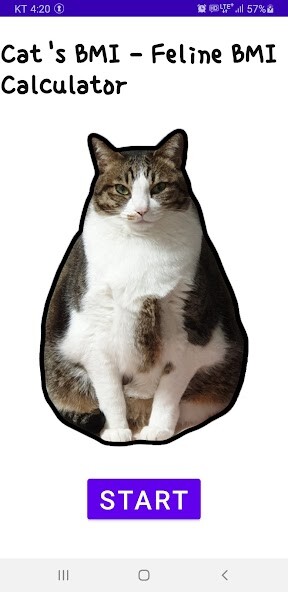 Run android online APK Cats BMI Calculator (Feline) from MyAndroid or emulate Cats BMI Calculator (Feline) using MyAndroid