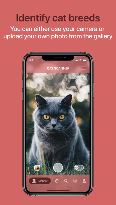 Emulate iPhone app Cat Scanner using MyAndroid Emulate iPhone app Cat Scanner using MyAndroid