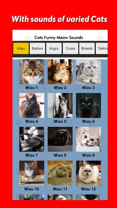 Emulate iPhone app Cats Funny Meow Sounds using MyAndroid