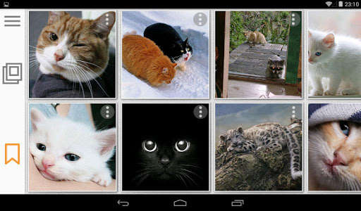 Run android online APK Cats Gallery & Memes Generator from MyAndroid or emulate Cats Gallery & Memes Generator using MyAndroid Run android online APK Cats Gallery & Memes Generator from MyAndroid or emulate Cats Gallery & Memes Generator using MyAndroid