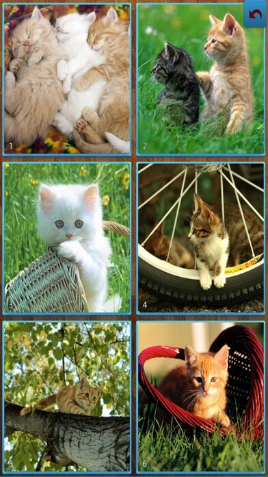 Emulate iPhone app Cats Jigsaw Puzzles - Titan using MyAndroid Emulate iPhone app Cats Jigsaw Puzzles - Titan using MyAndroid