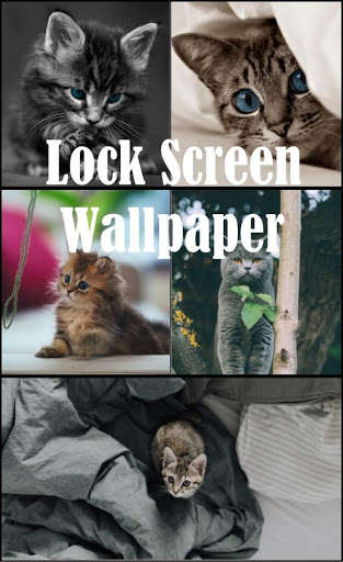 Emulate Android APK Cats Lock Screen Emulate Android APK Cats Lock Screen