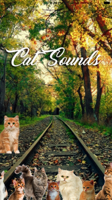 Emulate iPhone app Cat Sounds and Music using MyAndroid