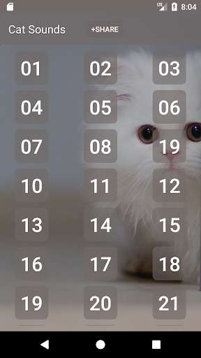 Run android online APK Cat Sounds and Ringtone from MyAndroid or emulate Cat Sounds and Ringtone using MyAndroid