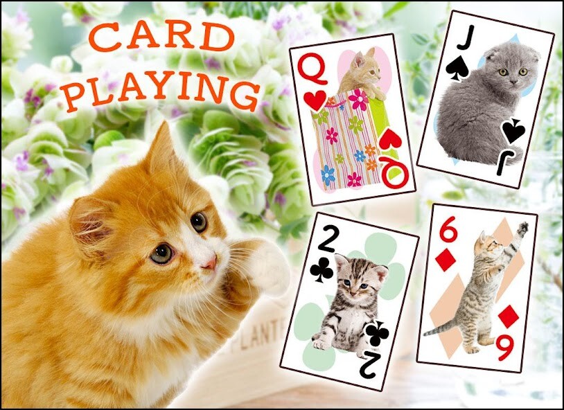 Run android online APK Cats Playing Card Games from MyAndroid or emulate Cats Playing Card Games using MyAndroid Run android online APK Cats Playing Card Games from MyAndroid or emulate Cats Playing Card Games using MyAndroid