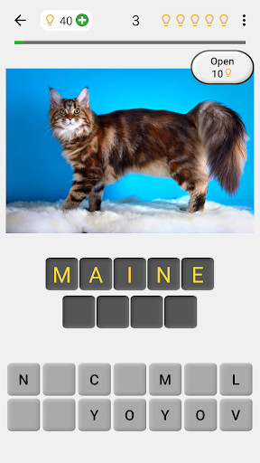 Run android online APK Cats Quiz - Guess Photos of All Popular Cat Breeds from MyAndroid or emulate Cats Quiz - Guess Photos of All Popular Cat Breeds using MyAndroid