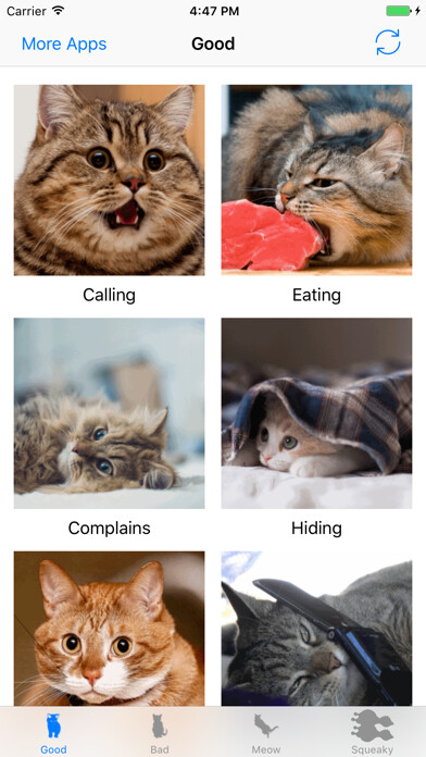 Emulate iPhone app Cats sounds: real and fun sounds for cat lovers using MyAndroid Emulate iPhone app Cats sounds: real and fun sounds for cat lovers using MyAndroid