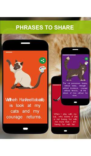 Run android online APK Catstat - Phrases for your cat to share from MyAndroid or emulate Catstat - Phrases for your cat to share using MyAndroid