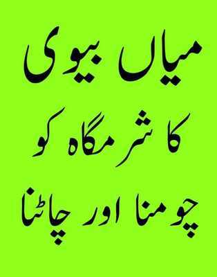 Emulate Android APK Cats vs Pigs Emulate Android APK Cats vs Pigs