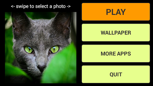 Run android online APK Cats Wallpaper Jigsaw Puzzles from MyAndroid or emulate Cats Wallpaper Jigsaw Puzzles using MyAndroid