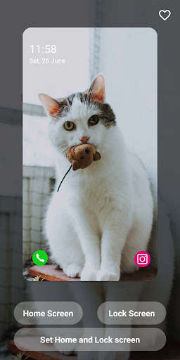 Run android online APK Cats Wallpapers HD from MyAndroid or emulate Cats Wallpapers HD using MyAndroid Run android online APK Cats Wallpapers HD from MyAndroid or emulate Cats Wallpapers HD using MyAndroid