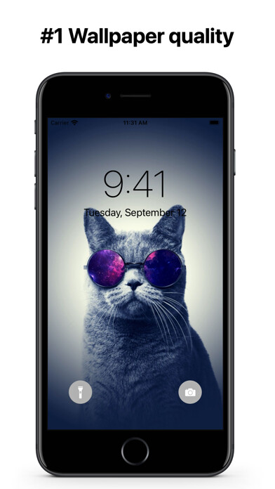 Emulate iPhone app Cats Wallpapers Notch Remover using MyAndroid Emulate iPhone app Cats Wallpapers Notch Remover using MyAndroid