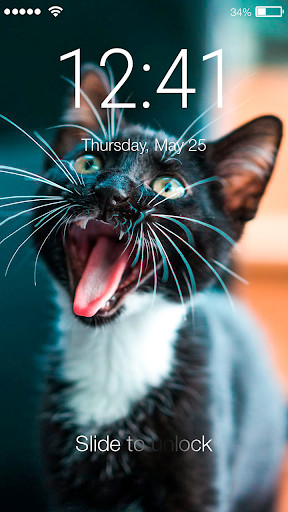 Run android online APK Cat Theme Kitten Pet HD Wallpaper Screen Lock from MyAndroid or emulate Cat Theme Kitten Pet HD Wallpaper Screen Lock using MyAndroid Run android online APK Cat Theme Kitten Pet HD Wallpaper Screen Lock from MyAndroid or emulate Cat Theme Kitten Pet HD Wallpaper Screen Lock using MyAndroid