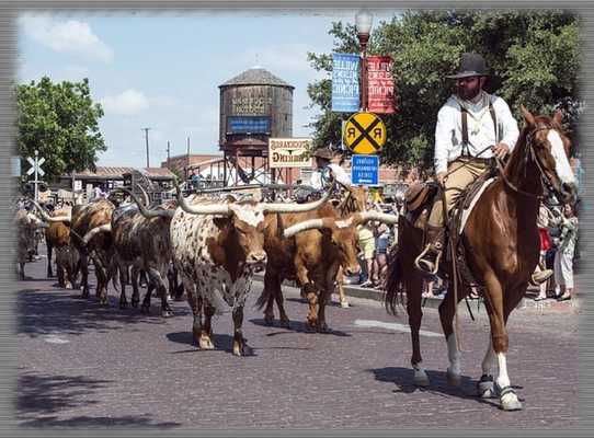 Emulate Android APK Cattle Drives Wallpaper Emulate Android APK Cattle Drives Wallpaper